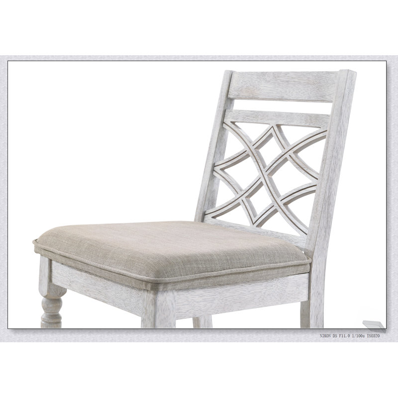 Ensemble de 2 chaises Havana en tissu de 19 po de large avec coussins confortables pour la vie moderne Havanna