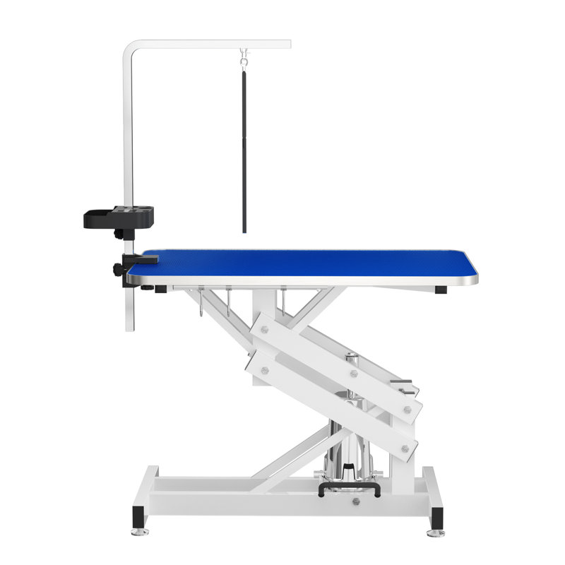 Table de toilettage hydraulique robuste avec plateau antistatique, Bleu