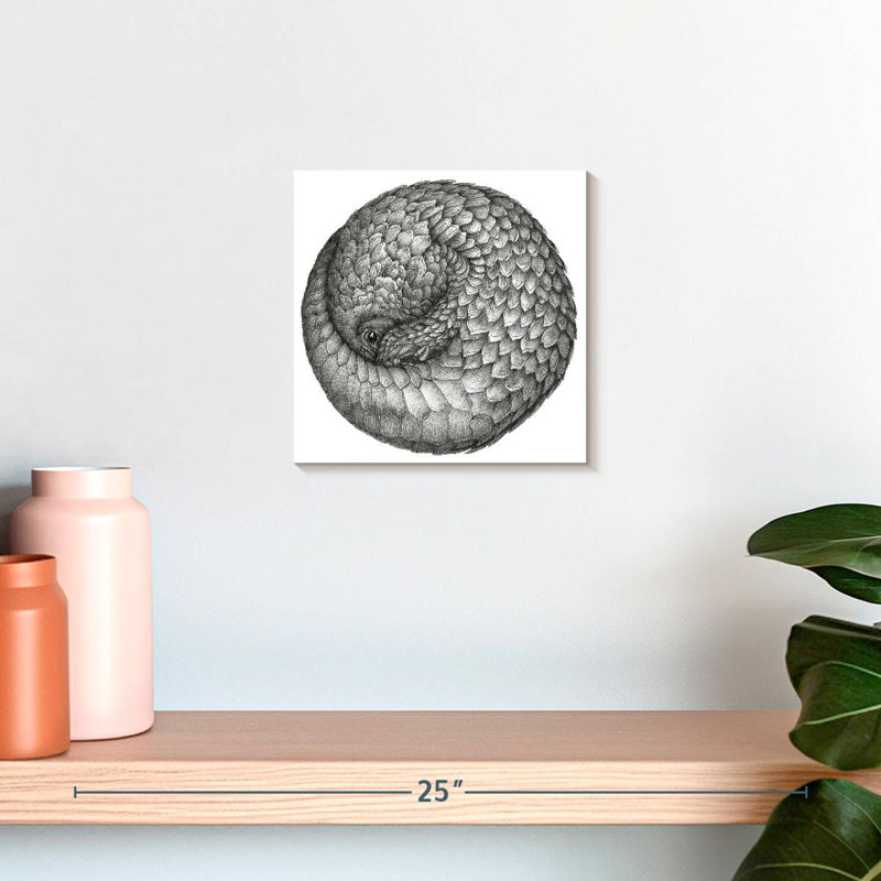 Boule de pangolin Brampt, H 10 po x l 10 po