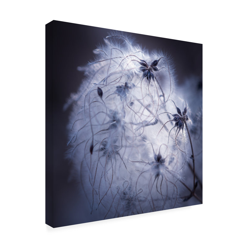 Impression sur toile par Ingo Menhard, H 14 po x l 14 po x P 2 po