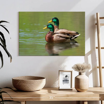 Brampt Mallard Duck Couple