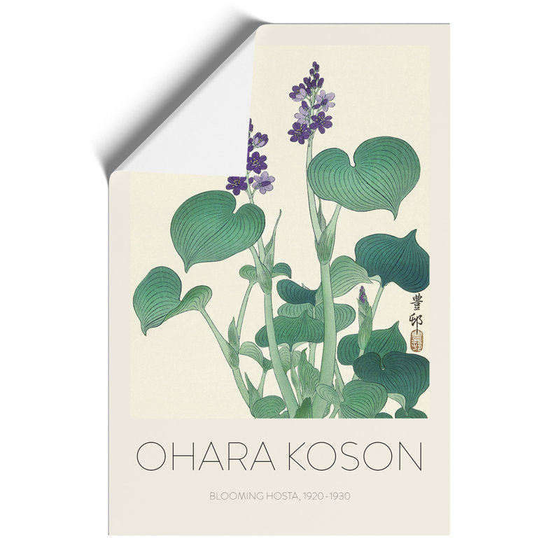 Blooming Hosta Flower Print by Ohara Koson - Frameless Print, 42cm H x 30cm W x 0.1cm D