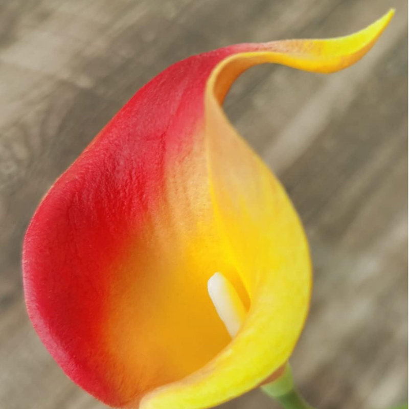 12Pcs Red Yellow Artificial Calla Lily Flowers
