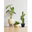 Dépots artificiel 21,5" en pot