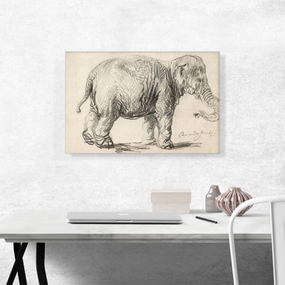 " An Elephant 1637 " by Rembrandt Van Rijn Painting Print