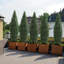 Arbre topiaire artificiel 2-ensembles, arbres topiaires en cèdre artificiel 3 pi pour la décoration extérieure et intérieure, buis artificiel topiaire, protection contre les rayons UV pour une longue durée de vie