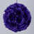 Purple is out of stock