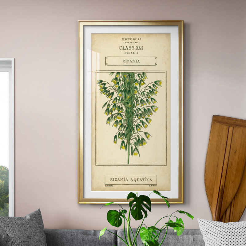 Linnaean Botany I - peinture sur toile encadrée, H 14,5 po x l 26,5 po x P 1,5 po, Doré