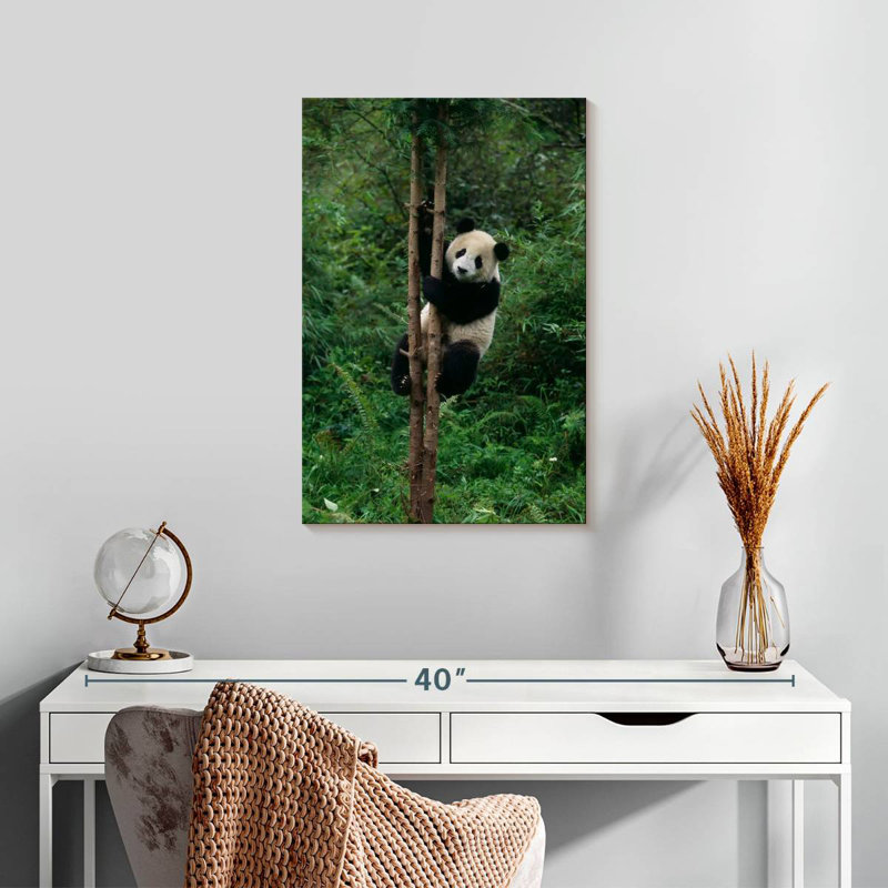 Panda grimpant Brampt, H 24 po x l 16 po