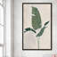 Palmier botanique II - Peinture-859631837-859631832