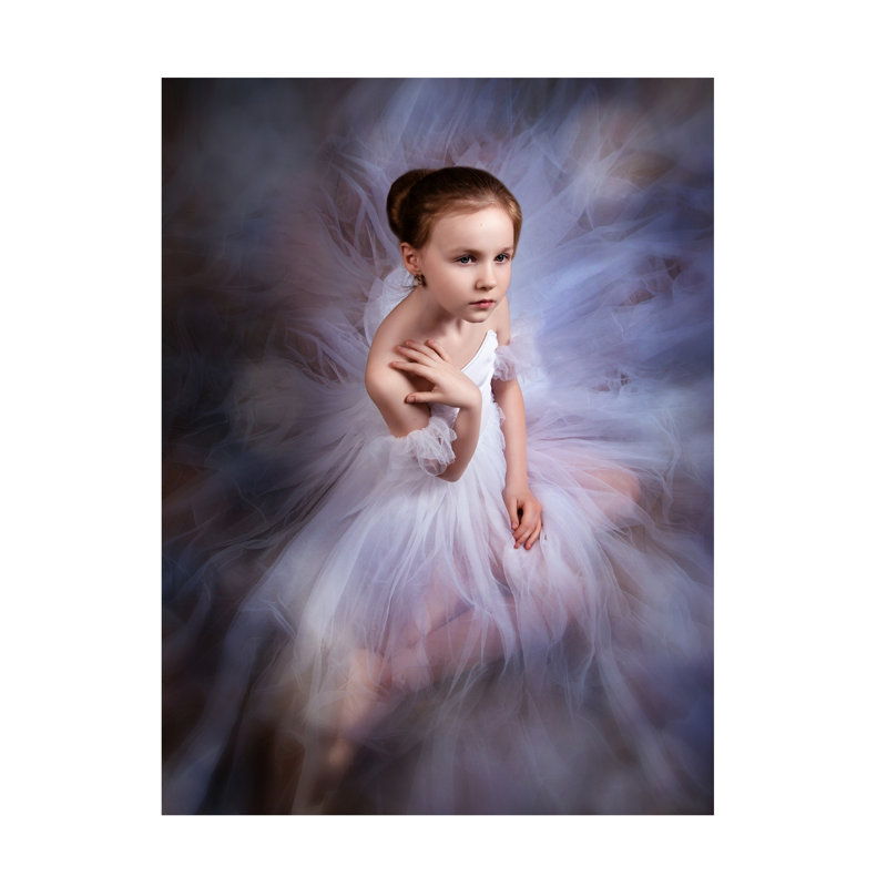 Art sur toile Alina Lankina, H 24 po x l 32 po