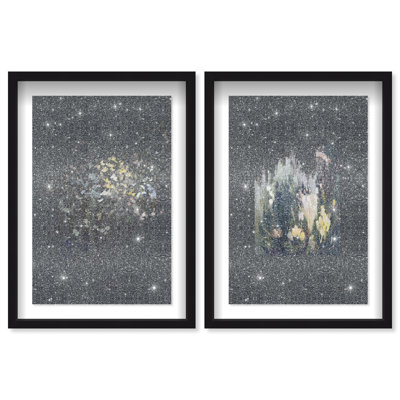 Midnight Flora Set Framed Graphic Art