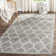 Ammundsen Geometric Gray/Light Gray Area Rug