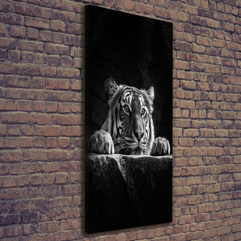 Tiger - Wrapped Canvas Print