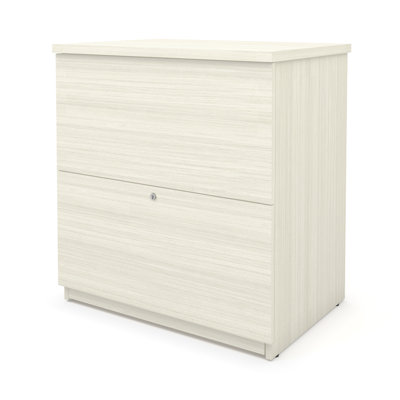 Pasiak 28.4'' Wide 2 -Drawer File Cabinet