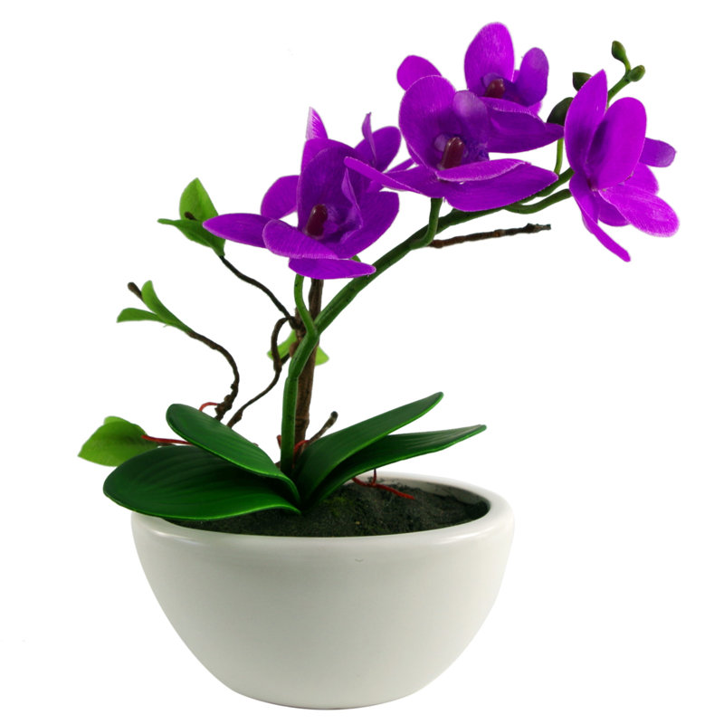 Ansa 24cm Faux Tree in Ceramic Planter