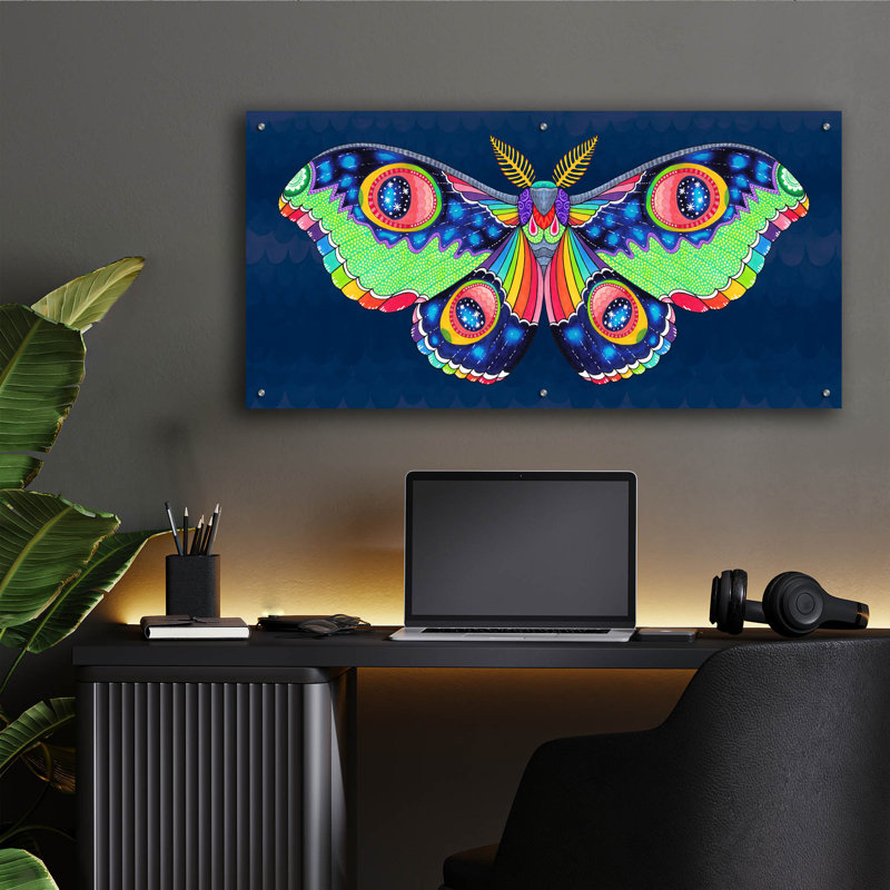  «Midnight Rainbow Moth» par Hello Angel, art mural en verre acrylique, 24 po x 12 po, H 24 po x l 48 po