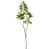 vert sélectionné