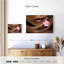 Sh Shillworth cheveux sains et brillants-108694160