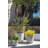 Mason Series Pot Planter-98538401