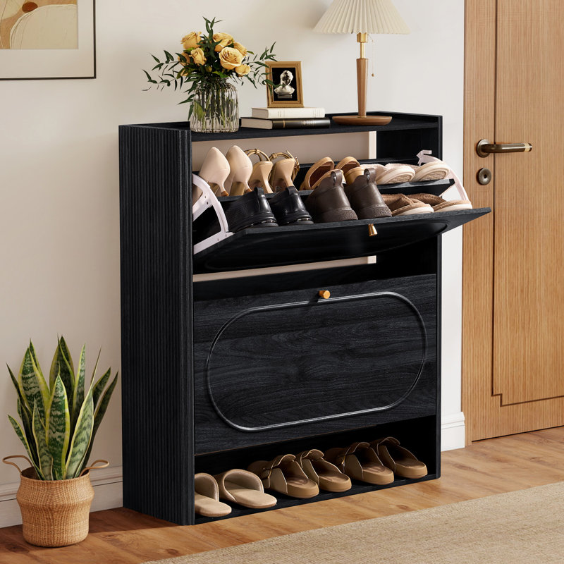 Armoire de rangement pour 20 paires de chaussures, Noir