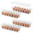 Vandyke Food Storage Container