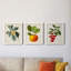 Feuillage antique et fruit VI - ensemble de 3 peintures sur toile encadrées-305686315-305686316