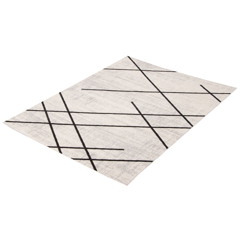 Delphinia Area Rug in Ivory/Black, Rectangle 3' x 5'