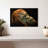 Brampt Dramatic Orangutan-108818642