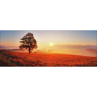 Lonely Tree - Graphic Art Print on Glass