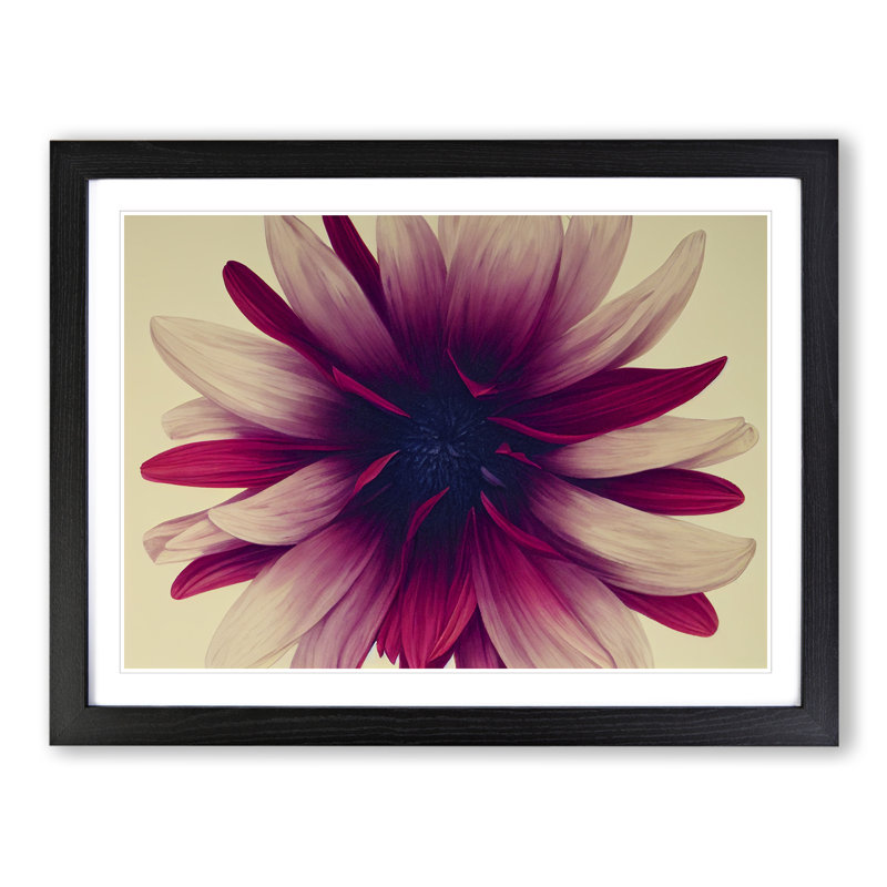 Bold Flower - Single Picture Frame Print, 46cm H x 64cm W x 2cm D, Black Framed