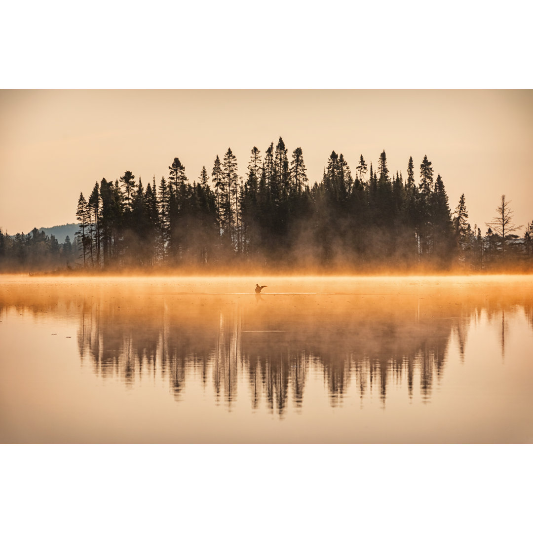 Nebliger Sonnenaufgang am See