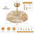 Artelia 20'' Ceiling Fan with Light Kit