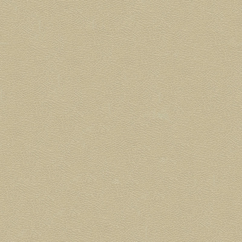 Kravet Design Grana Fabric, Beige