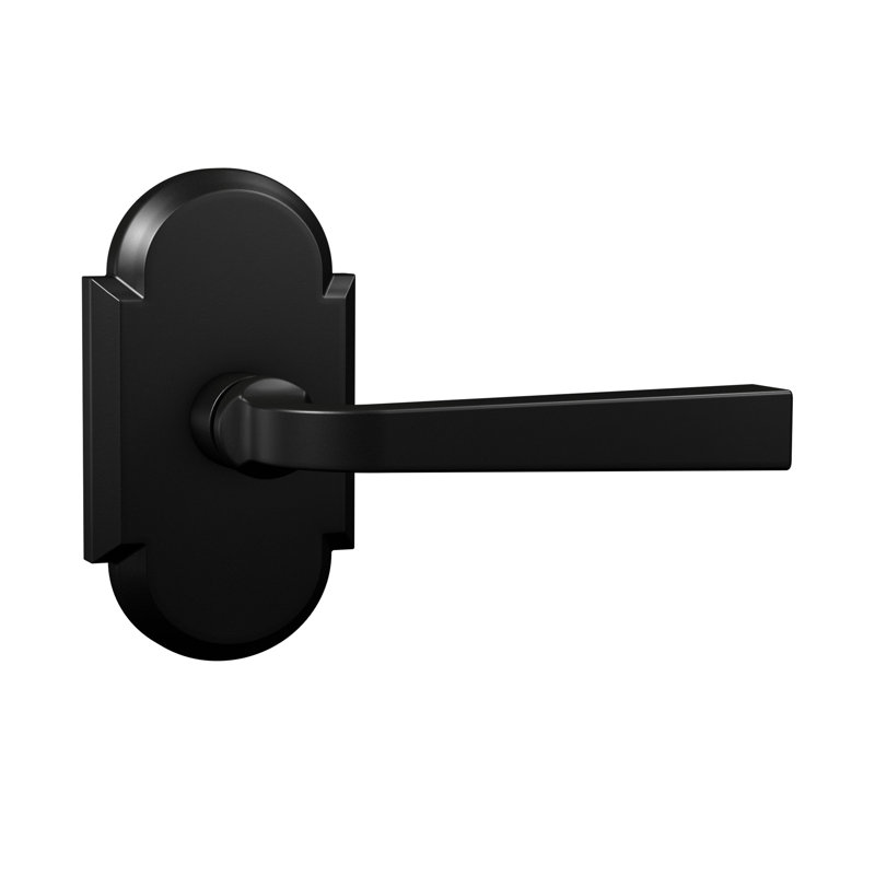 Levier d'intimité Bravura 904S-G2 sur rosette arquée en noir mat, Noir mat