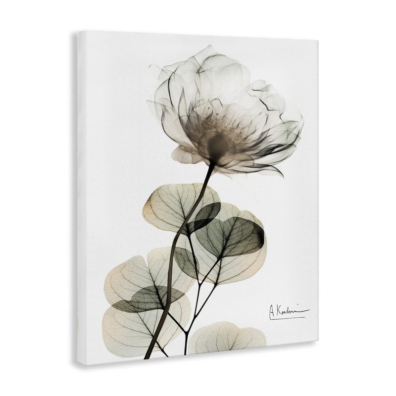 Simple Simple Elegant White Flower Canvas, design par Albert Koetsier, H 40 po x l 30 po