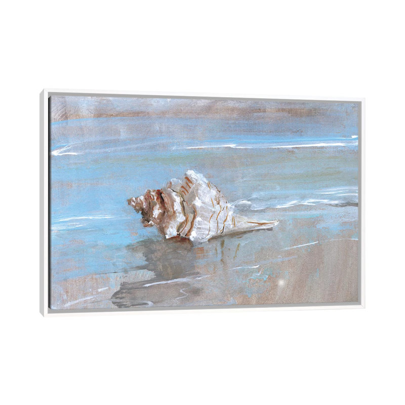 Shore Shell I par Sally Swatland - reproduction d'art, H 26 po x l 40 po x 1,5 po, White Framed, Pas de tapis