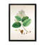 Vintage Botanicals III - peinture sur toile-59814236-59814237