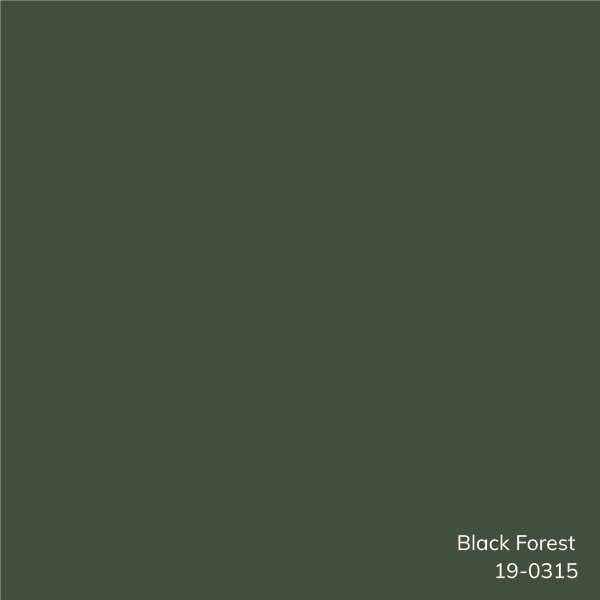 Oreiller 100% coton Edgar Square, Vert foncé, Polyester/ bourre en polyester, H 22 po x l 22 po