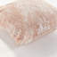 Hana Polyester Indoor/Outdoor Pillow Cover & Insert-433582465-436175623