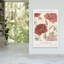 Madrid Flower Market Classic Delicate Elegant Peony Rose Flower Nature Wall Art Print 1 Piece Wrapped Canvas Wall Art-574135777