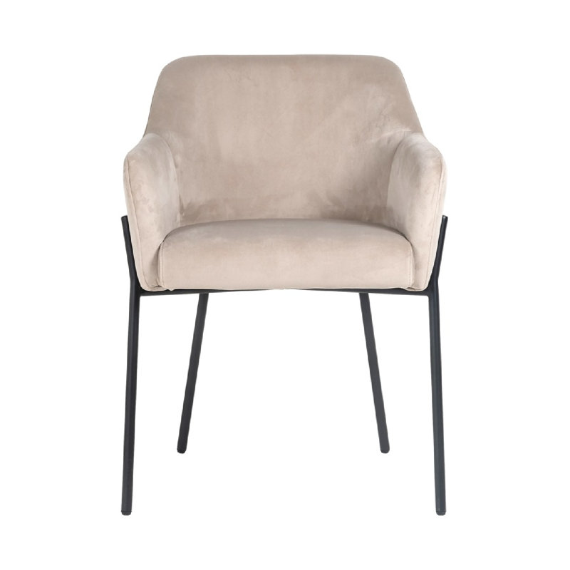 Chaise avec accoudoirs Fay, gris