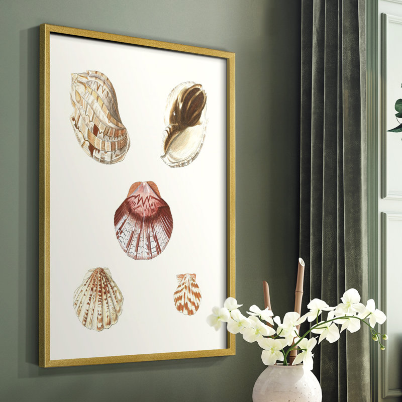 «Pastel Knorr Shells», reproduction encadrée en bois massif, Or, H 14 po x l 11 po