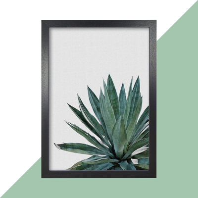 Agave Cactus - Print