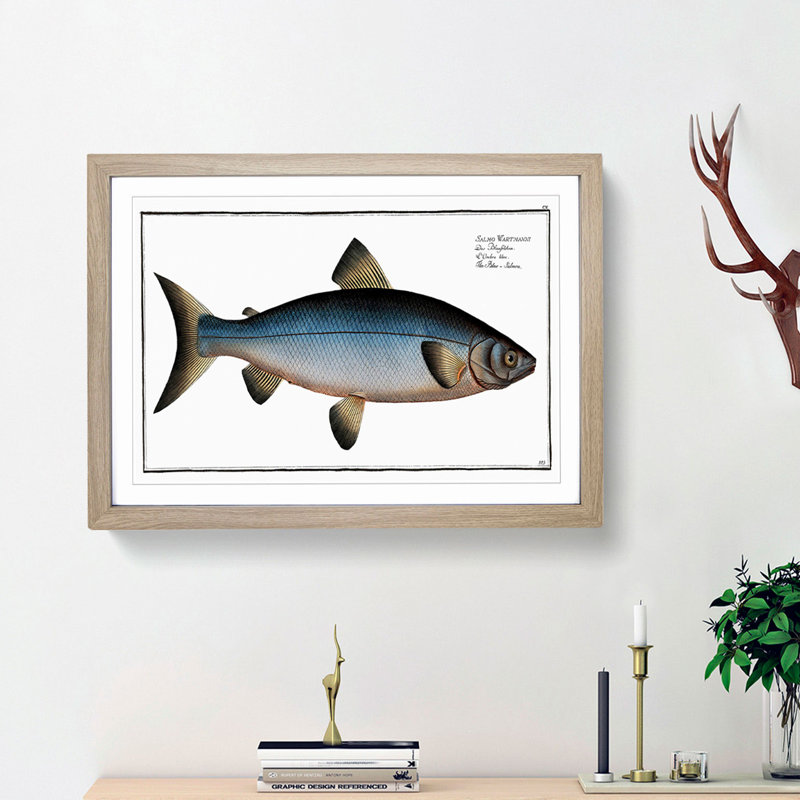 Blue Salmon Fish by M.E. Bloch - Picture Frame Painting Print, Oak Framed, 36cm H x 48cm W x 2cm D