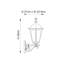 Shanghai 49cm H Outdoor Wall Lantern