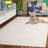 Sopheia Hand Tufted Wool Cotton Solid Color Rug in Ivory-1528889490