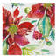 « poinsettia pretty ii », reproduction de peinture à l’acrylique sur toile tendue-31867983