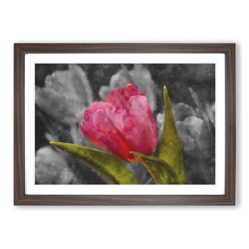Pink Tulip Flower - Framed Print, 27cm H x 36cm W x 2cm D, Walnut Framed