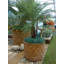 Vaughn Fiberglass Pot Planter-14486328
